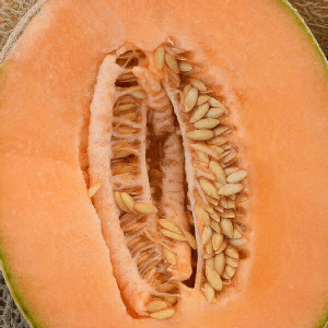 Melon Retato Itali