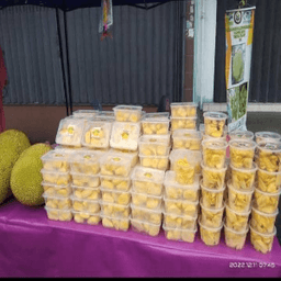 NANGKA SEGAR - Thumbnail 1