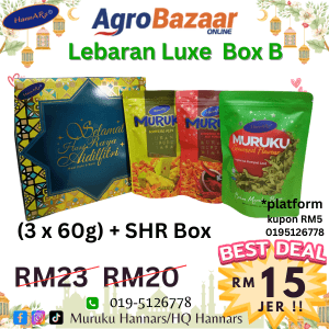 Hannars LEBARAN LUXE B AIDILFITRI
