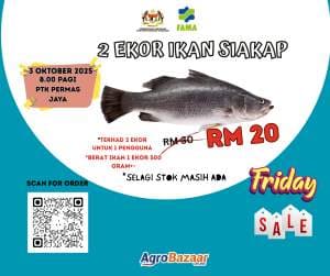 SET IKAN SIAKAP(2 EKOR) - Image 1