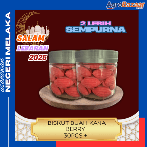 BISKUT BUAH KANA BERRY