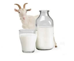 SUSU KAMBING SEGAR 250ML - Thumbnail 2