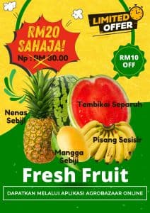 KOMBO BUAH-BUAHAN - Thumbnail 2