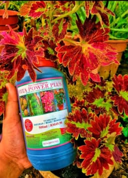 Vita Power Plus - Thumbnail 2