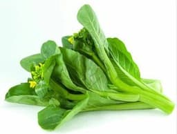 sawi manis - Thumbnail 1