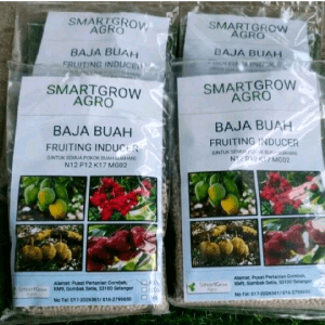 baja khas buah - Image 1