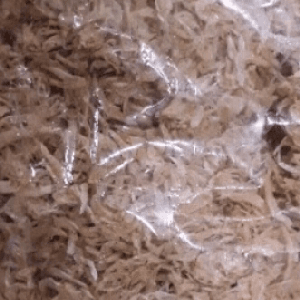 udang pepai/geragau 1kg - Image 1