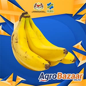 Pisang Berangan Kombo 14Kg Pusat Operasi FAMA Perlis - Image 1