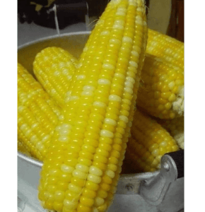 Jagung Rebus - Image 1