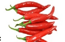 lada besar - Thumbnail 1