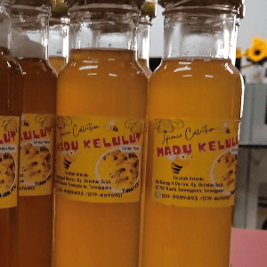 100% Madu Kelulut Asli - Image 1