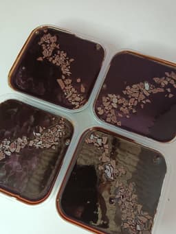 COKLAT CHEESE BERHANTU - Thumbnail 1