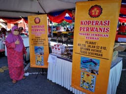 Ubat gigi Pudina Perwanis - Thumbnail 2