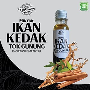 MINYAK IKAN GEDAK TOK GUNUNG NAKAWAN HERBS