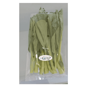 Sawi Bunga Hidroponik - Image 1