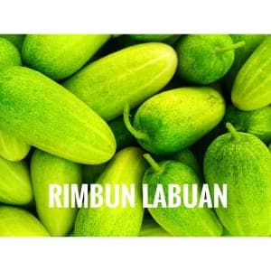 Timun Ulam 6 Packs