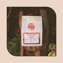 Flight Joy - Thumbnail 1