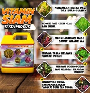 BAJA TANAMAN (VITAMIN SIAM) - Image 1