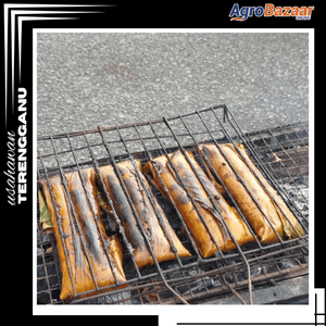 PAIH IKAN ORIGINAL TERENGGANU - Image 1