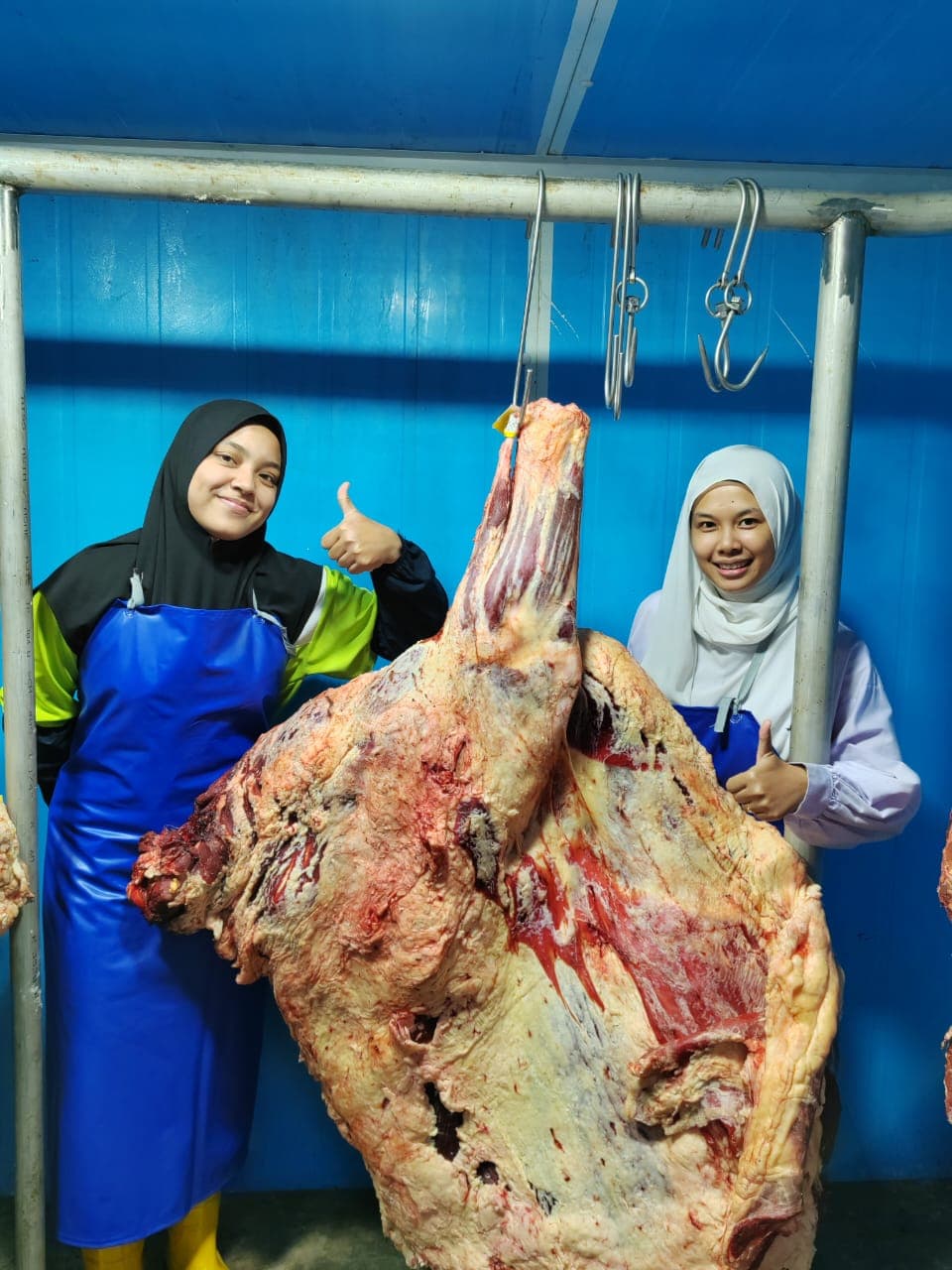 DAGING PEJAL MALAYSIA - Image 1