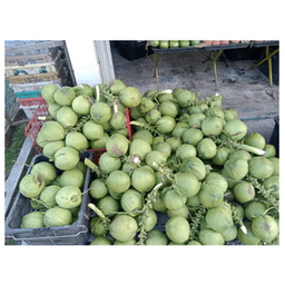 Kelapa Muda - Thumbnail 1