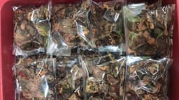 Asam keping/Asam gelugur Pure Kampung - Thumbnail 1