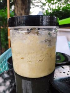 [SELF PICK-UP] TEMPOYAK