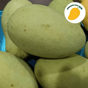 Harumanis Paya Kelubi - Image 1