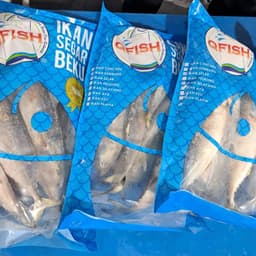 Ikan kembung Qfish - Thumbnail 2