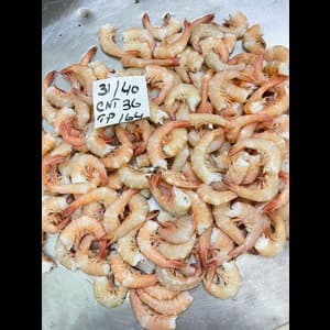 Peeled Undeveined Shrimp (PUD) - Image 1