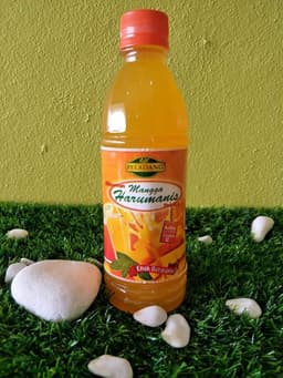 JUS HARUMANIS - Thumbnail 2