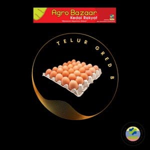 TELUR AYAM GRED B