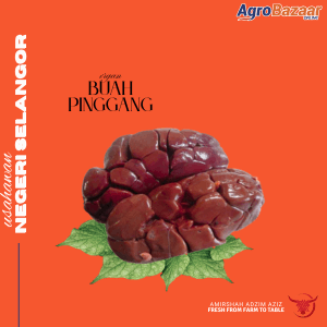 [LEMBU] BUAH PINGGANG 1kg