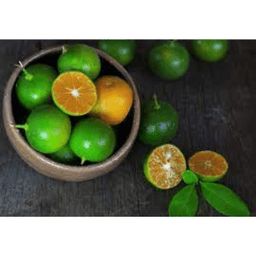 Anak Pokok Limau Kasturi - Thumbnail 2