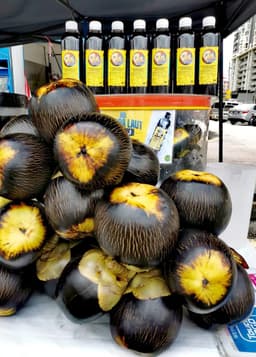 Kombo Air Kelapa Laut - 4 Botol - Thumbnail 2