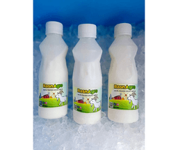 SUSU KAMBING SEGAR - Thumbnail 1