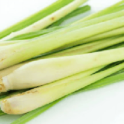 Serai Kampung - Thumbnail 2