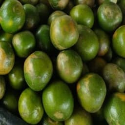 Buah limau manis - Thumbnail 1