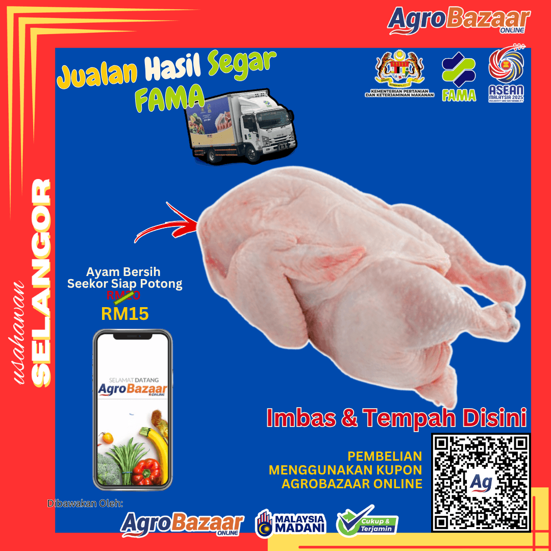 Ayam Bersih Seekor Siap Potong - Image 1