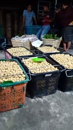 buah langsat susu - Image 1