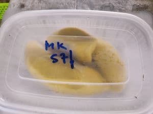 [SELF PICK-UP] DURIAN MUSANG KING FROZEN