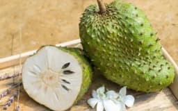 Anak Pokok Durian Belanda - Thumbnail 2