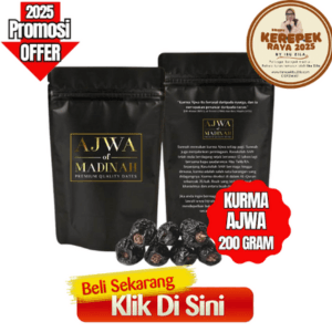 KURMA PREMIUM AJWA MADINAH