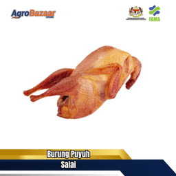 Burung Puyuh Salai (Seekor) - Thumbnail 1