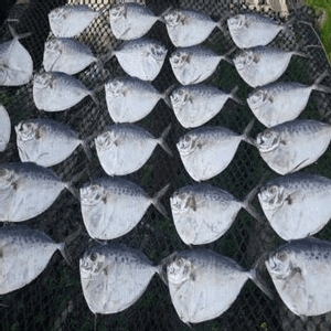 ikan masin kapak 1kg - Image 1