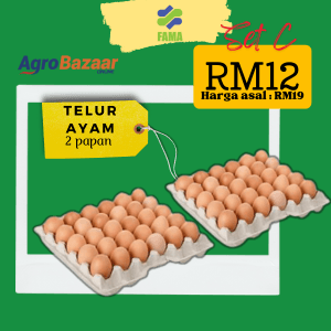 FAMA MOBILE ( SET C)