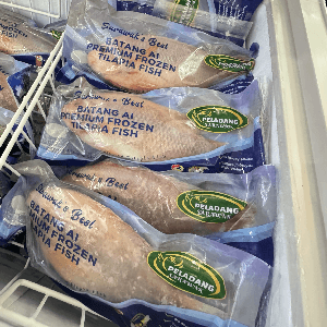 Ikan Talapia batang ai - Image 1