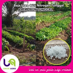 Baja Urea 46% Baja Nitrogen Tunggal Baja Daun 500gm - Thumbnail 2