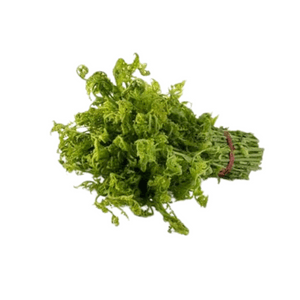 PUCUK PAKU KAMPUNG SEIKAT - Image 1