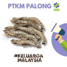 UDANG - Thumbnail 1